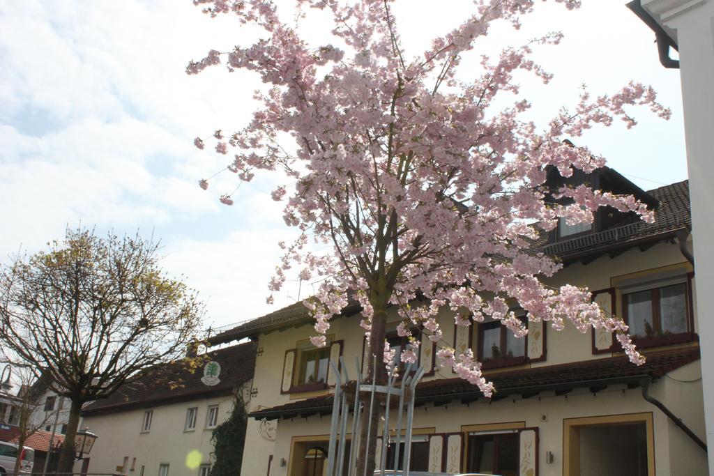 Gasthaus und Pension Zur Linde Rot an der Rot Exterior foto