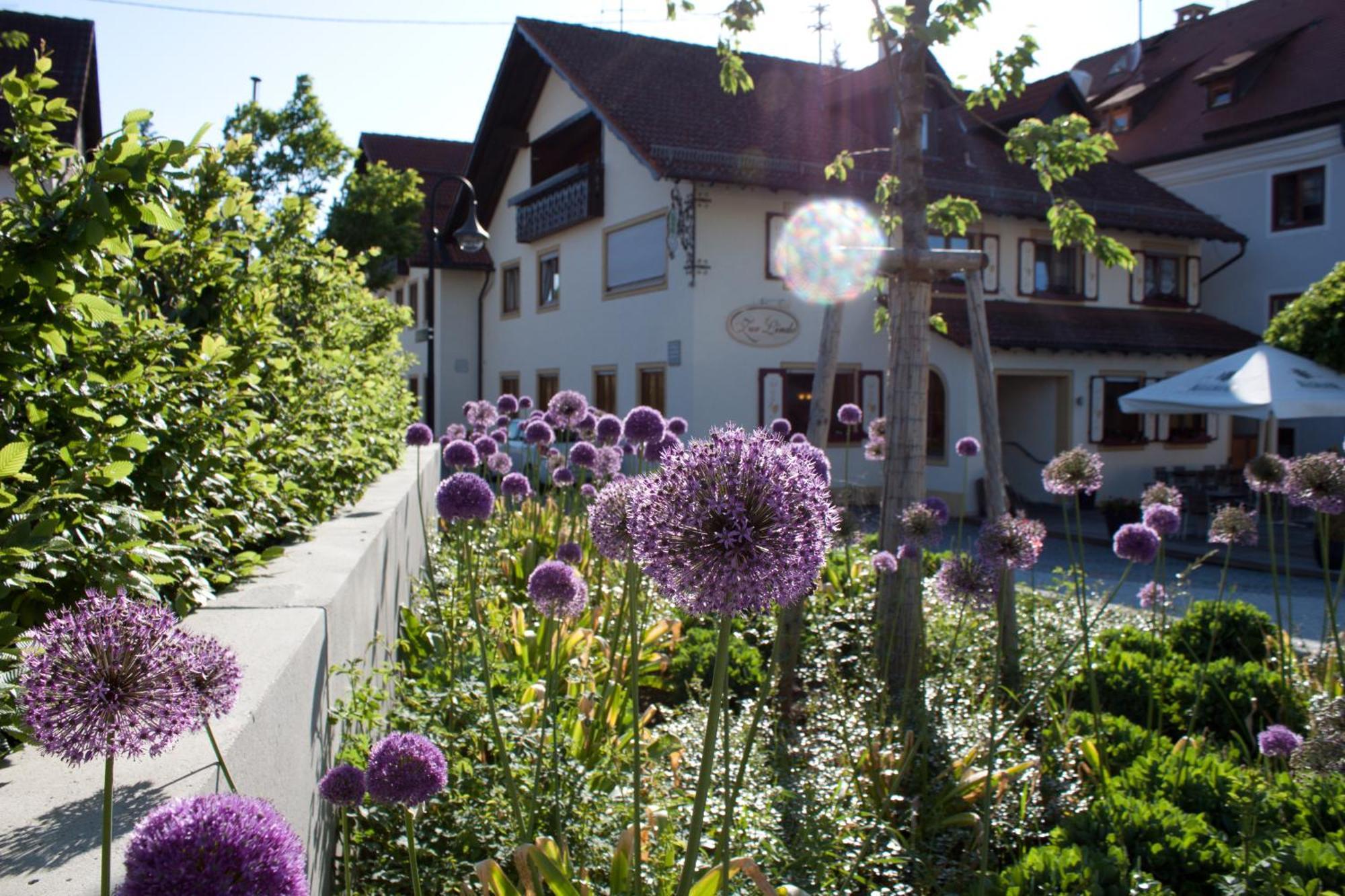 Gasthaus und Pension Zur Linde Rot an der Rot Exterior foto